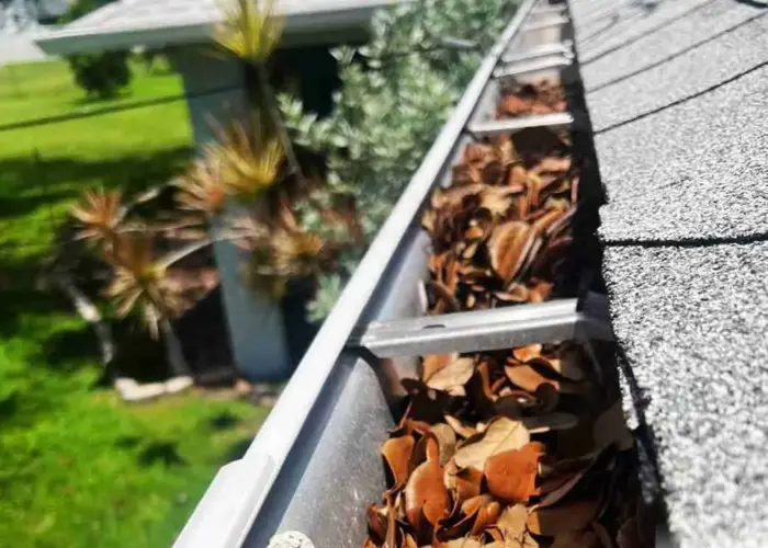 Puyallup gutter cleaning home page